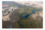 Okavango delta, Botswana by Anonymous