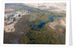Okavango delta, Botswana by Anonymous
