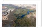 Okavango delta, Botswana by Anonymous