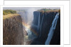 Victoria Falls by Anonymous