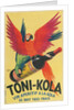 Macaws with Bottle of Toni-Kola Liqueur by Anonymous