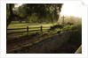 Old Mission Santa Barbara in California by Anonymous
