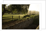 Old Mission Santa Barbara in California by Anonymous