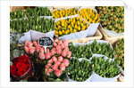 Flower market, Amsterdam by Anonymous