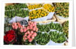 Flower market, Amsterdam by Anonymous