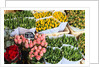 Flower market, Amsterdam by Anonymous