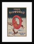 French Advertisement for Prowodnik Tires by Anonymous