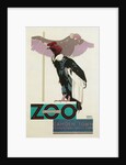 Buzzards, London Underground and Zoo by Anonymous