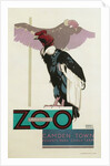 Buzzards, London Underground and Zoo by Anonymous