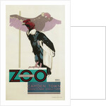 Buzzards, London Underground and Zoo by Anonymous