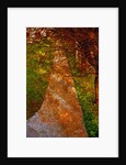 Way and Trees by Anonymous