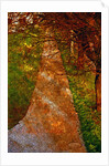 Way and Trees by Anonymous