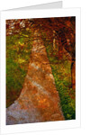 Way and Trees by Anonymous