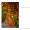 Way and Trees by Anonymous