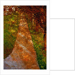 Way and Trees by Anonymous