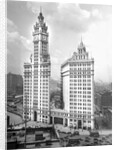 Wrigley Building on Michigan Avenue in Chicago, ca. 1928 by Anonymous