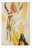 Poster for Cleveland Arts Festival, 1926 by Anonymous
