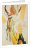 Poster for Cleveland Arts Festival, 1926 by Anonymous