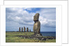 Easter Island by Anonymous