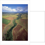 North Shore by Anonymous