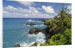 Wai'anapanapa park by Anonymous