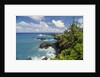 Wai'anapanapa park by Anonymous