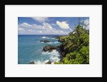 Wai'anapanapa park by Anonymous
