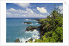 Wai'anapanapa park by Anonymous