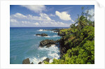 Wai'anapanapa park by Anonymous