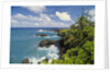Wai'anapanapa park by Anonymous