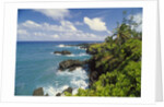 Wai'anapanapa park by Anonymous