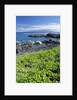 Waialua Bay by Anonymous