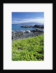 Waialua Bay by Anonymous