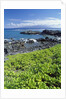 Waialua Bay by Anonymous
