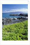 Waialua Bay by Anonymous