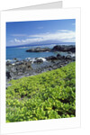 Waialua Bay by Anonymous
