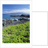 Waialua Bay by Anonymous
