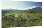 Hanaley Valley by Anonymous