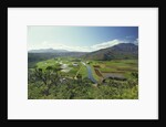 Hanaley Valley by Anonymous