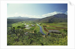 Hanaley Valley by Anonymous
