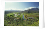 Hanaley Valley by Anonymous