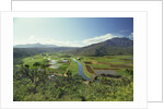 Hanaley Valley by Anonymous