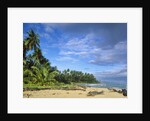 Beach in Limon, Costa Rica by Anonymous