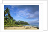 Beach in Limon, Costa Rica by Anonymous