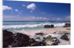 La Romana by Anonymous