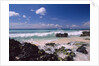 La Romana by Anonymous