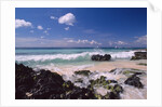 La Romana by Anonymous