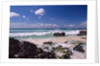 La Romana by Anonymous