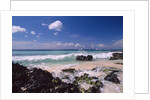 La Romana by Anonymous