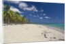 Beach in the West Indies by Anonymous